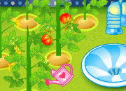 點擊進入 : 種植蕃茄-遊戲室